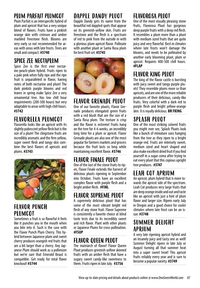 One Green World flyer page 89
