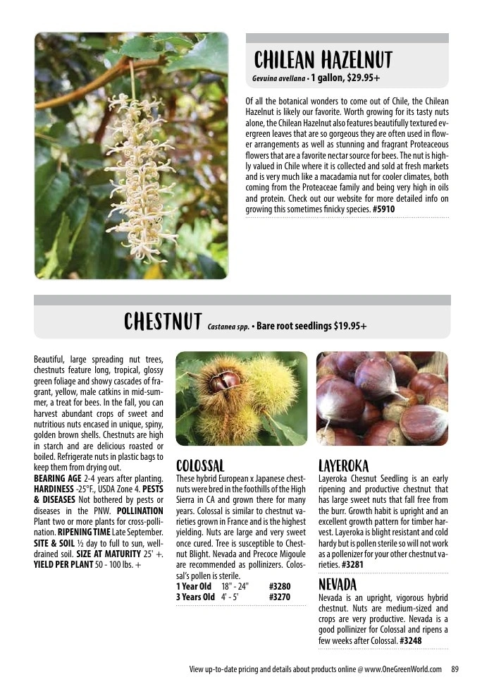 One Green World flyer page 91