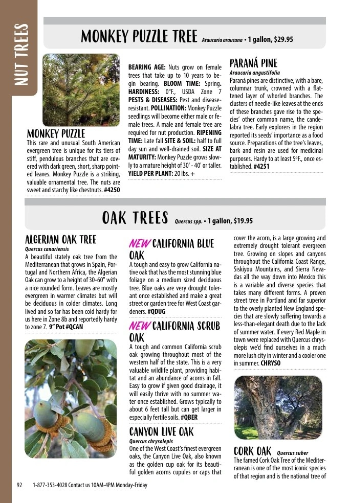 One Green World flyer page 94