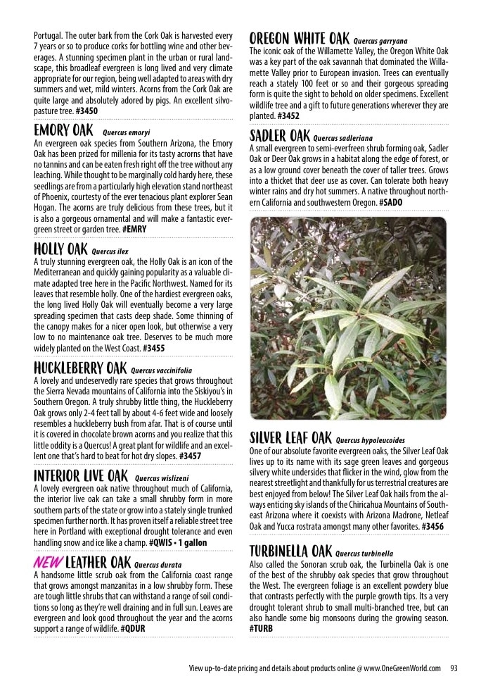 One Green World flyer page 95