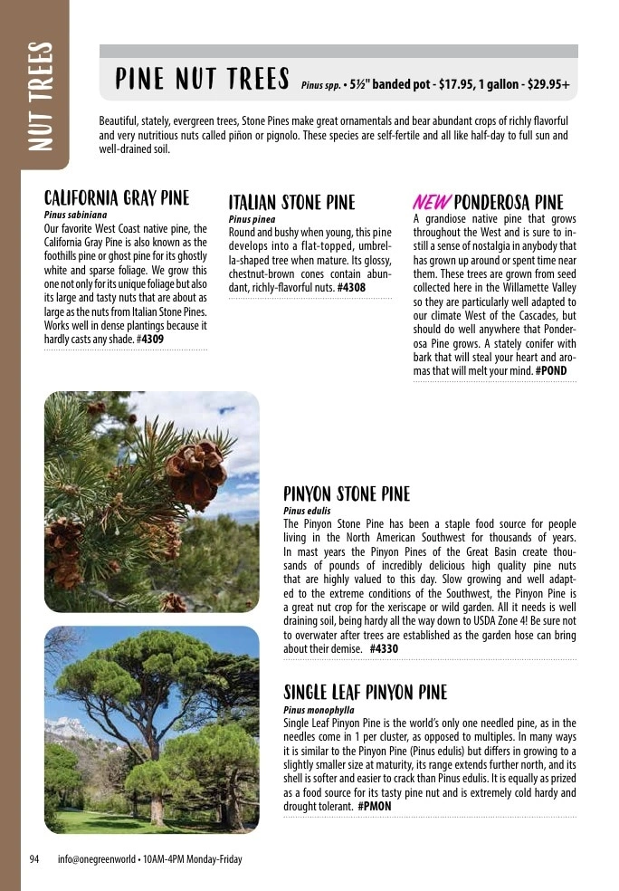 One Green World flyer page 96