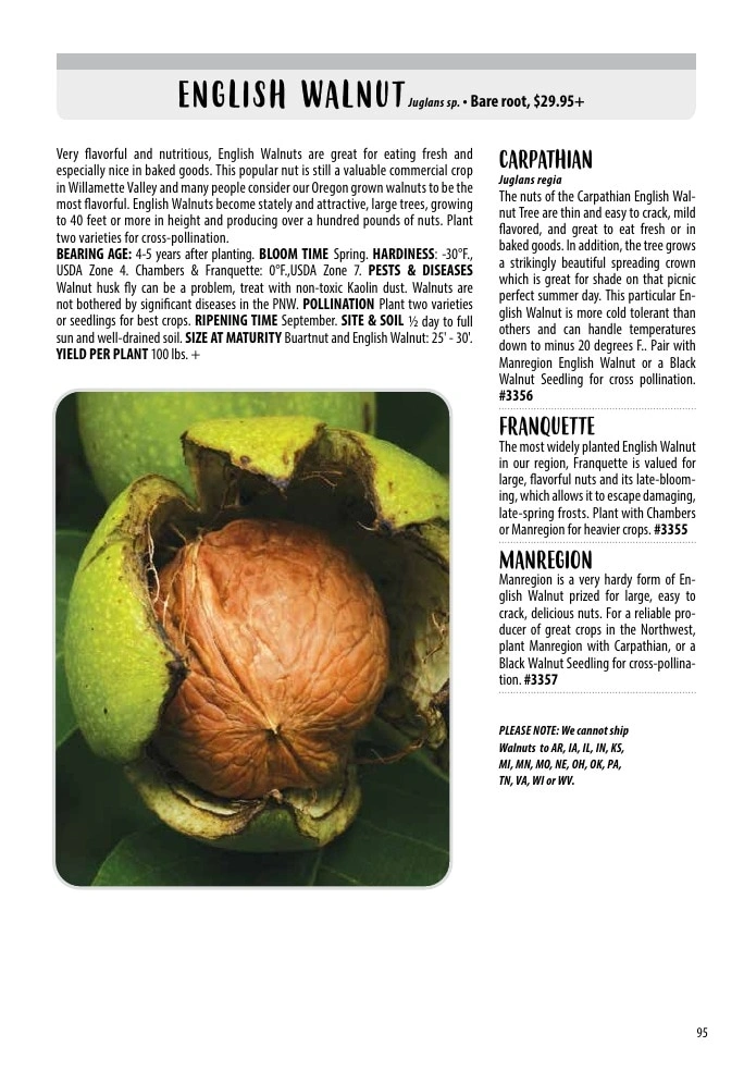 One Green World flyer page 97
