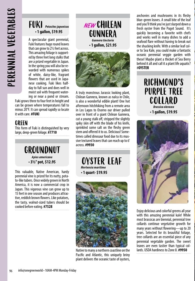One Green World flyer page 98