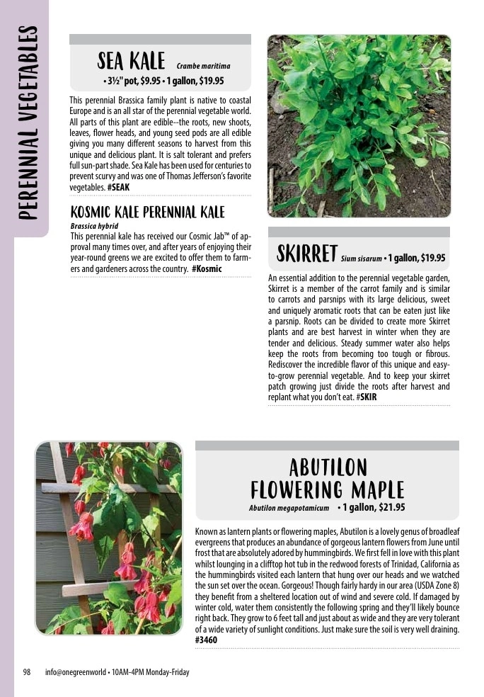 One Green World flyer page 100