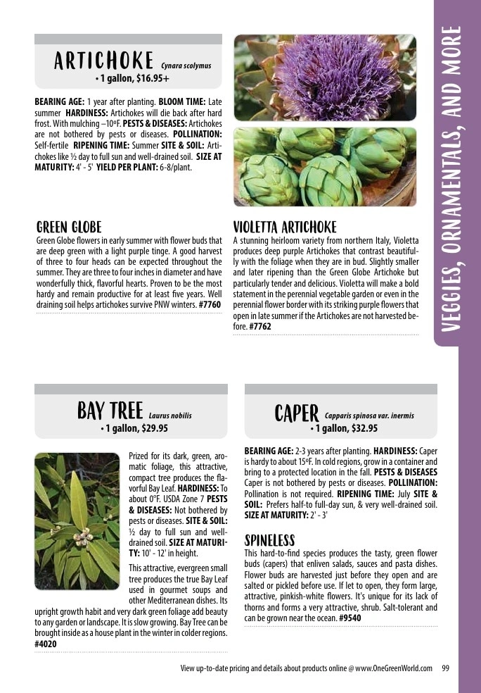 One Green World flyer page 101