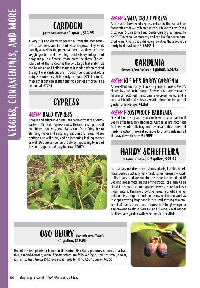 One Green World flyer page 102