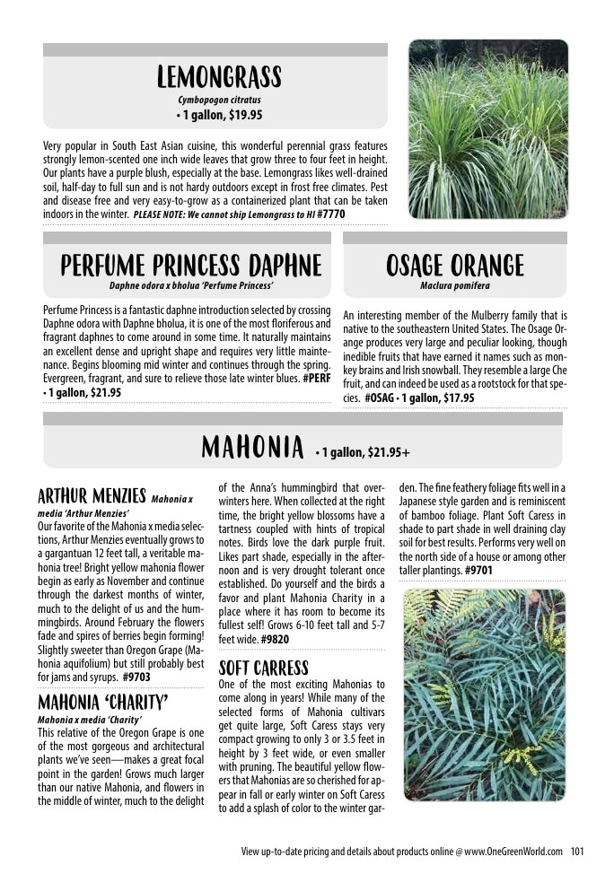 One Green World flyer page 103