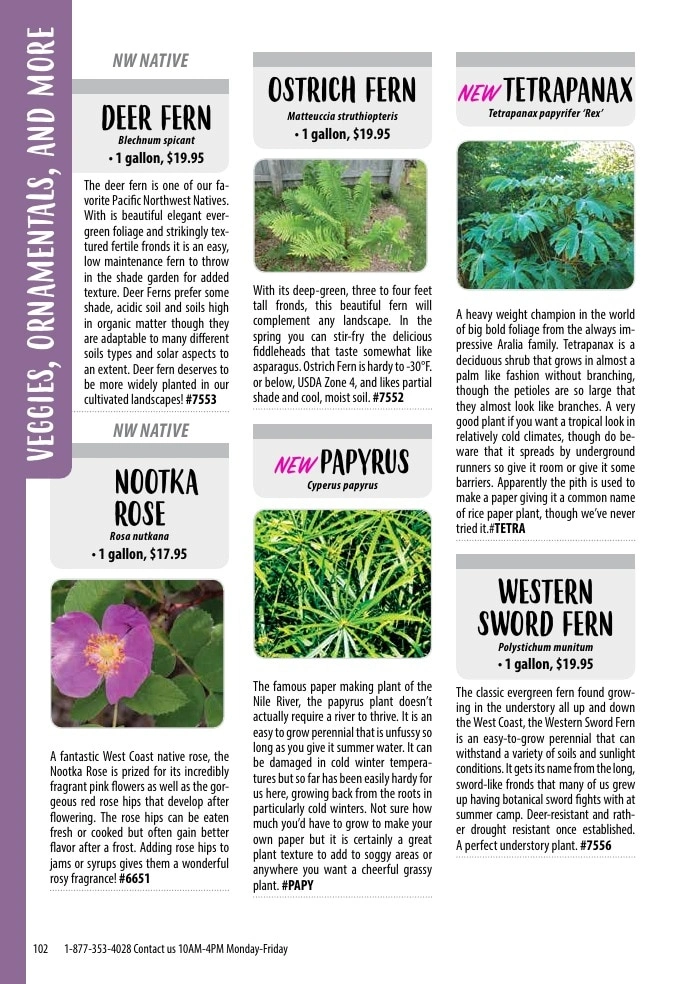 One Green World flyer page 104