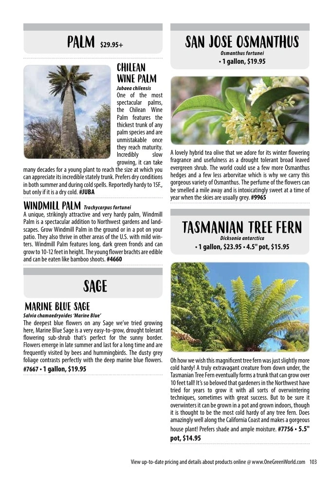 One Green World flyer page 105