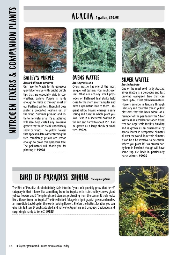 One Green World flyer page 106