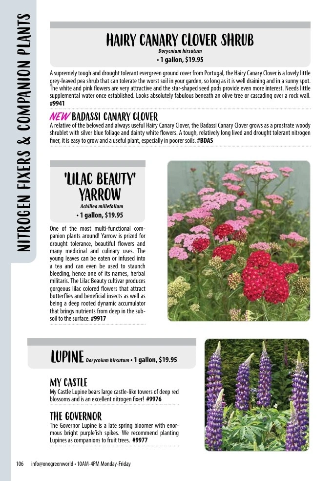 One Green World flyer page 108