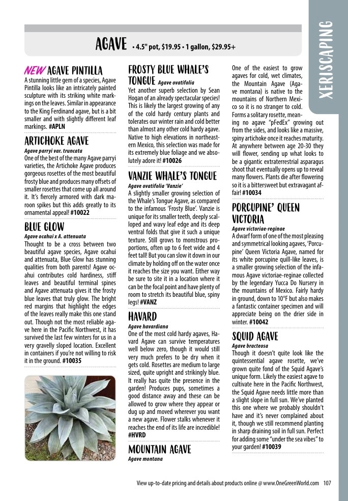One Green World flyer page 109