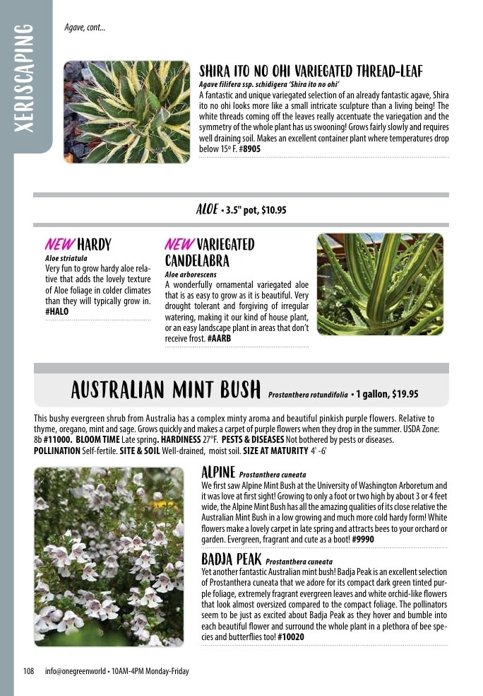 One Green World flyer page 110