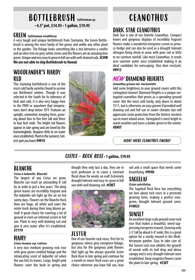 One Green World flyer page 111