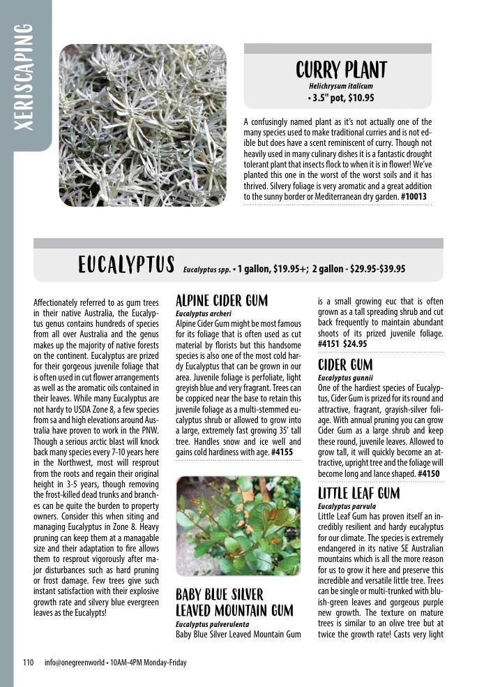One Green World flyer page 112