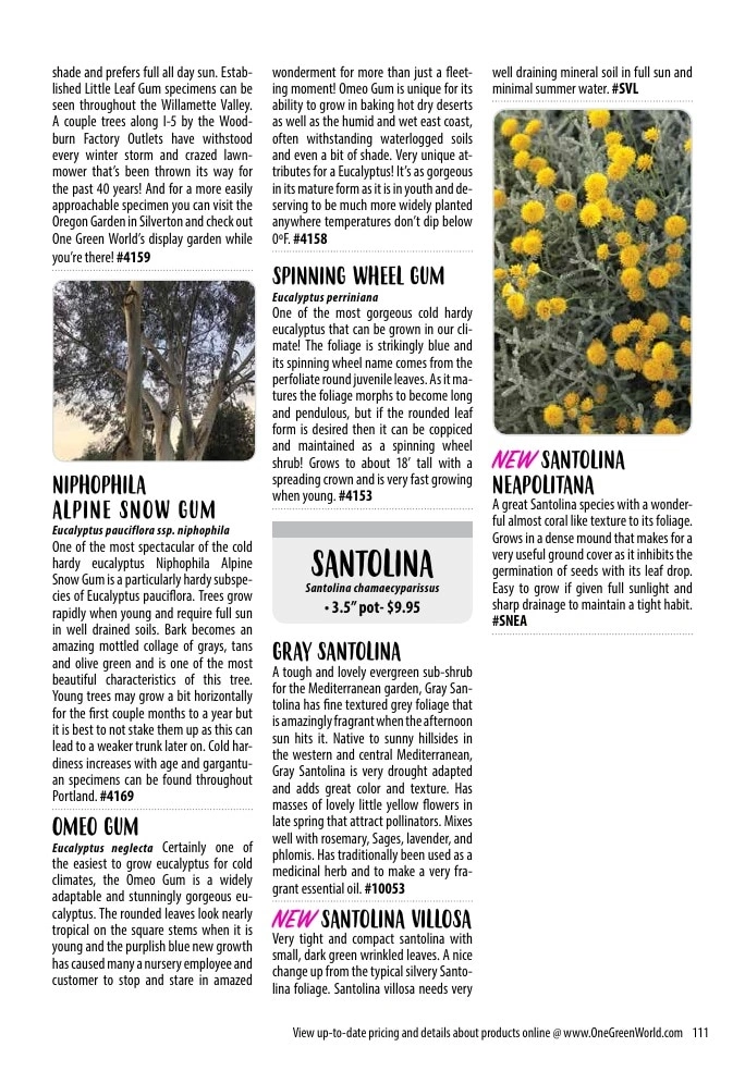 One Green World flyer page 113