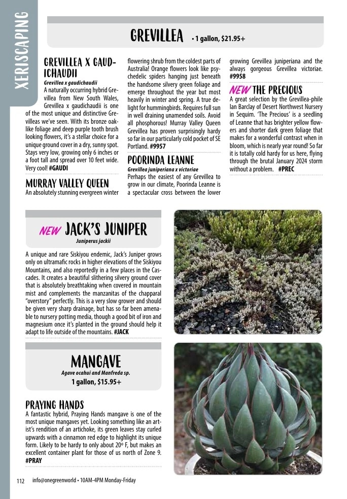One Green World flyer page 114