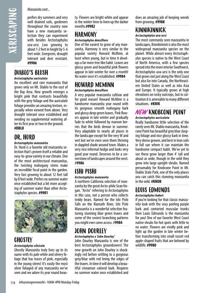 One Green World flyer page 116