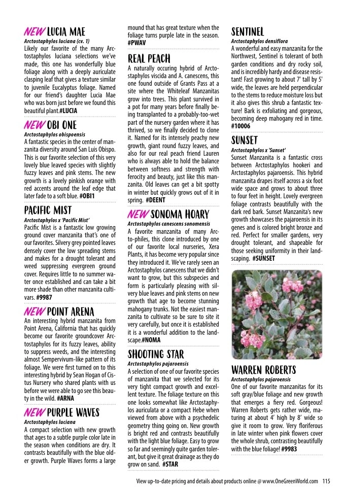One Green World flyer page 117