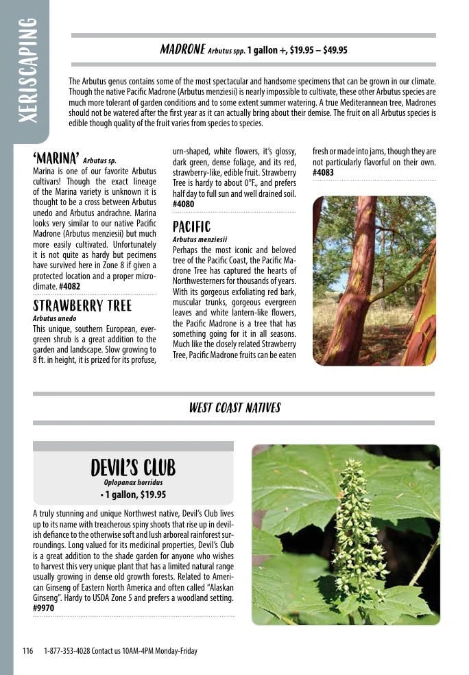 One Green World flyer page 118
