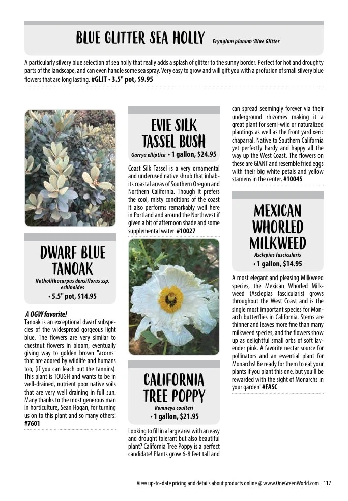 One Green World flyer page 119