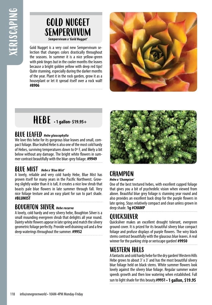 One Green World flyer page 120