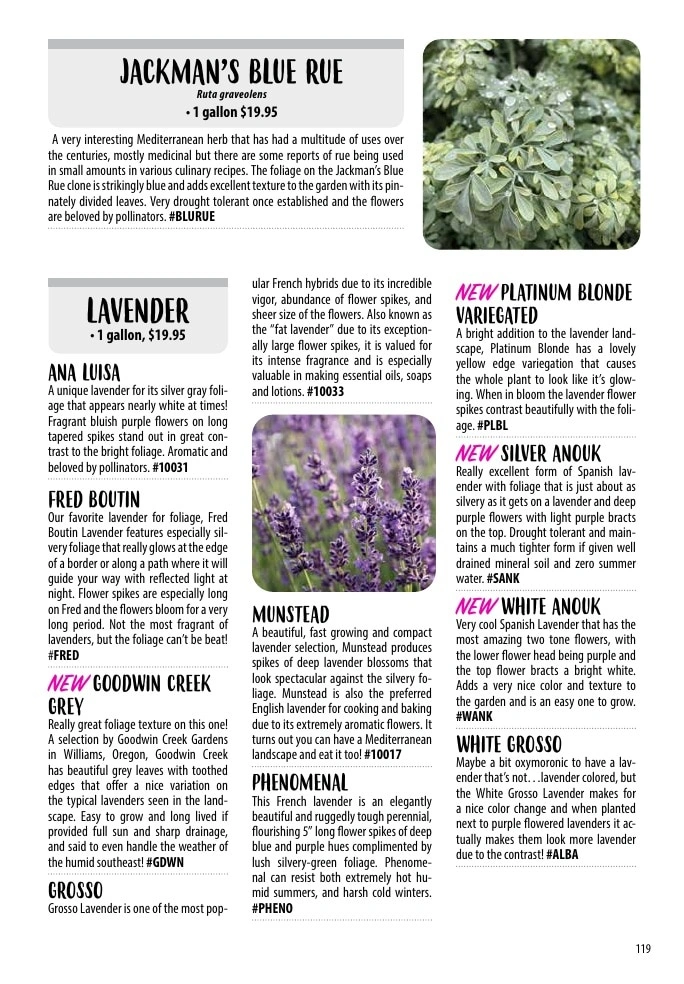 One Green World flyer page 121