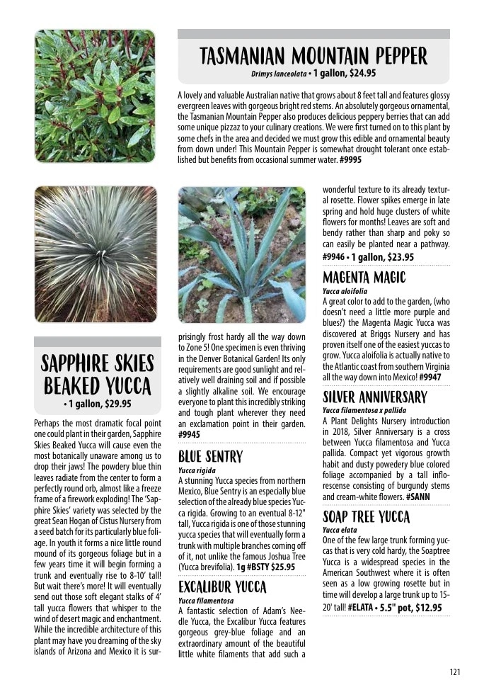 One Green World flyer page 123