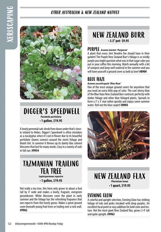One Green World flyer page 124