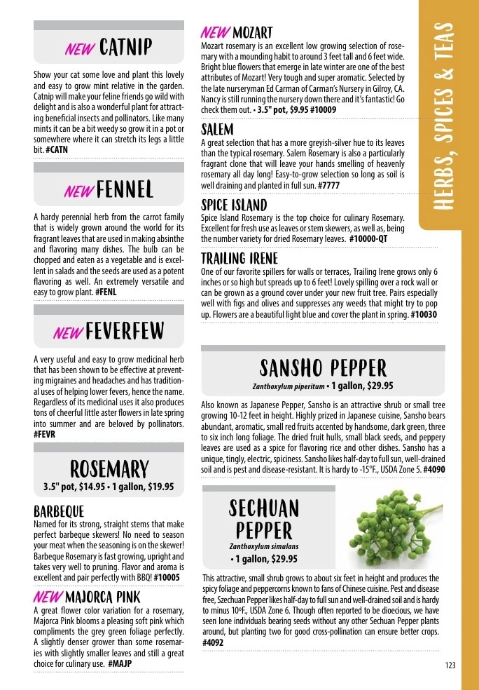 One Green World flyer page 125
