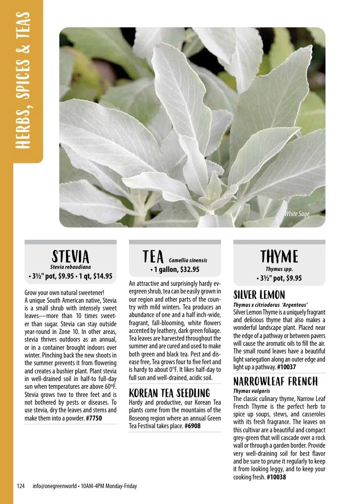 One Green World flyer page 126
