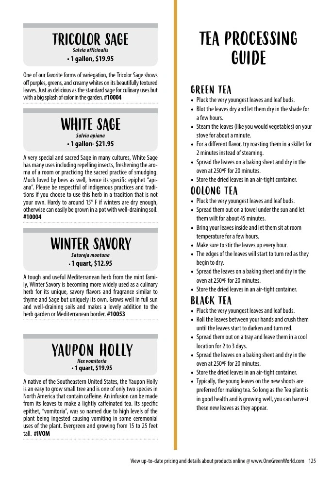 One Green World flyer page 127