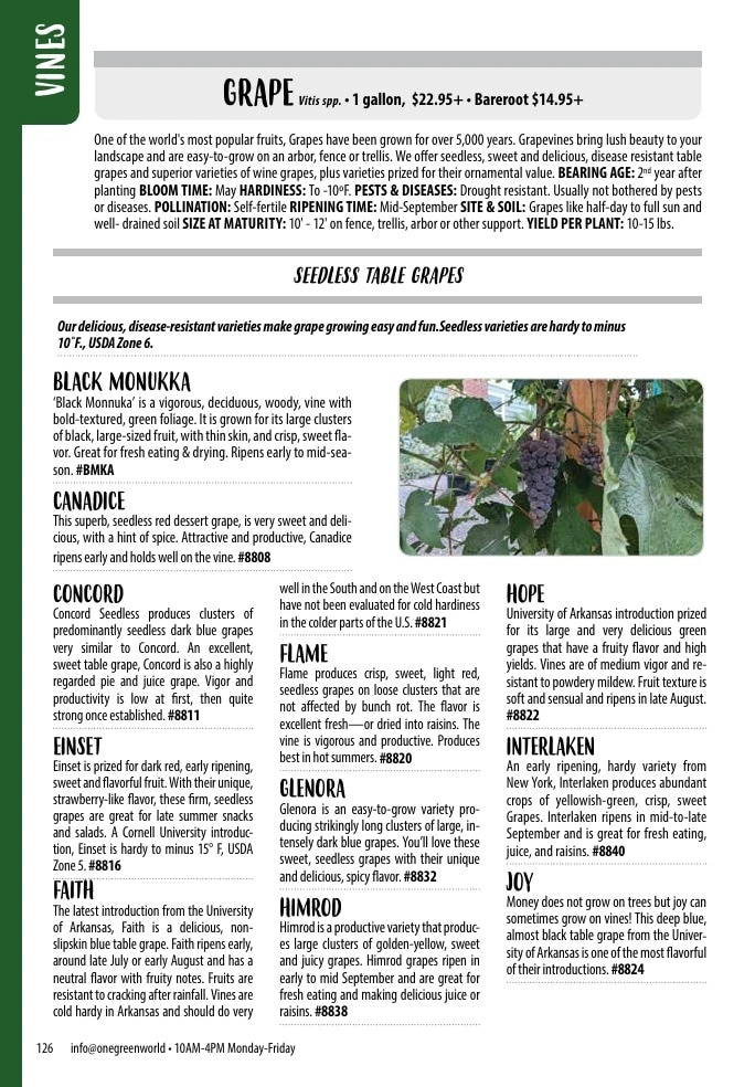 One Green World flyer page 128
