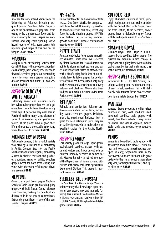 One Green World flyer page 129