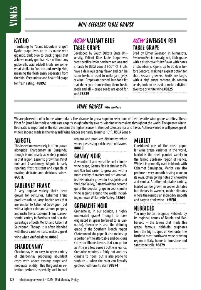 One Green World flyer page 130