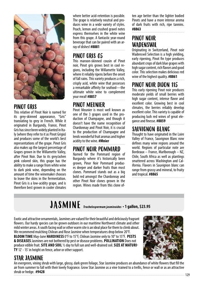 One Green World flyer page 131