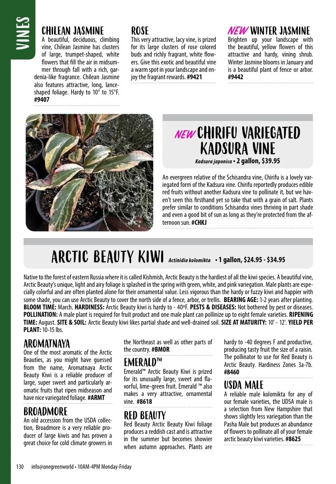 One Green World flyer page 132