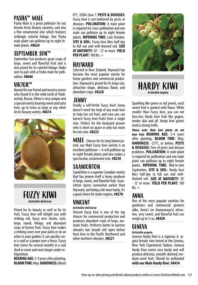 One Green World flyer page 133
