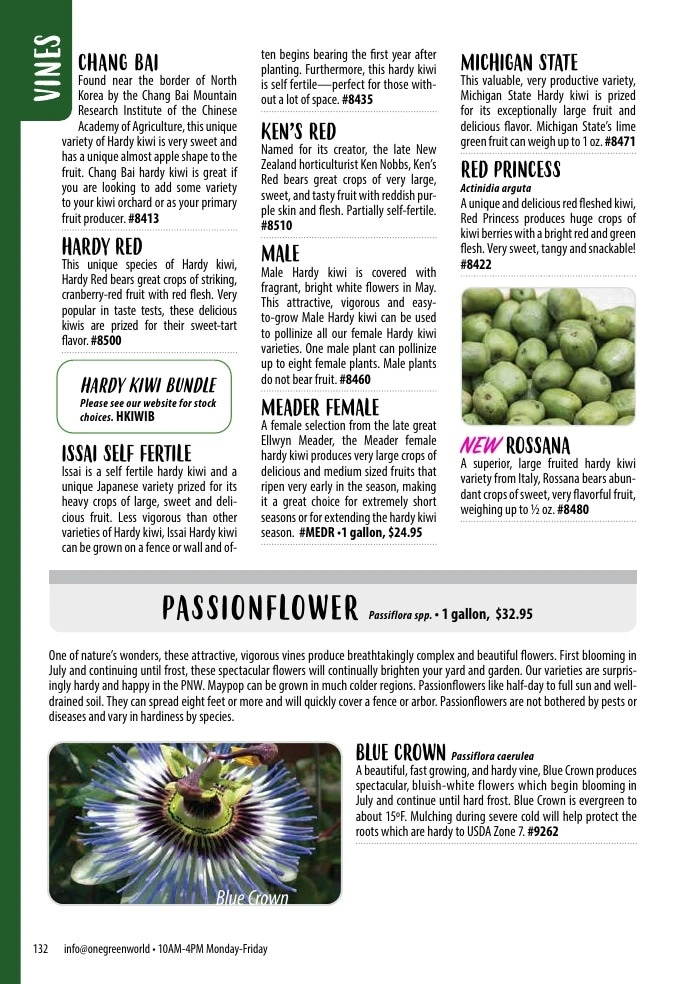 One Green World flyer page 134
