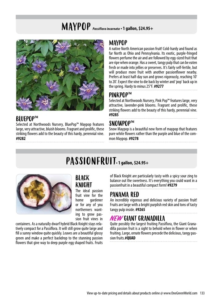 One Green World flyer page 135