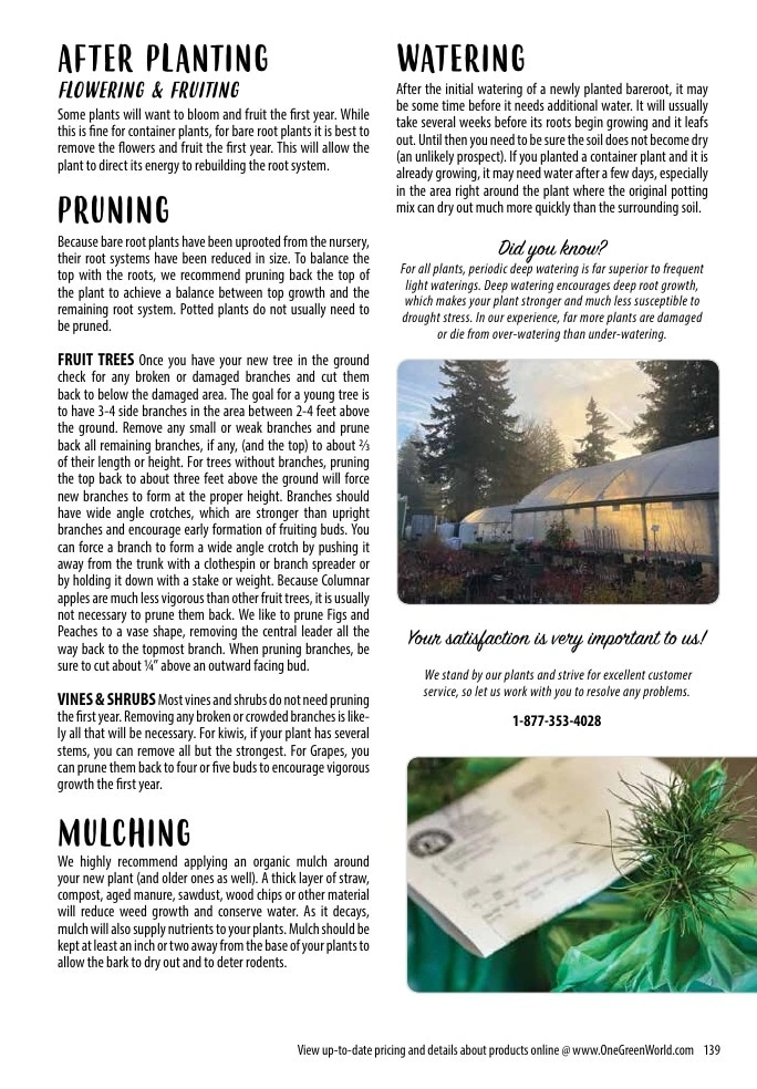One Green World flyer page 141