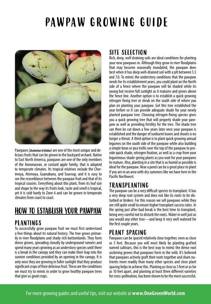 One Green World flyer page 142