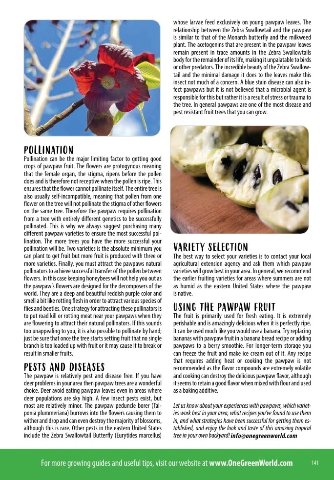 One Green World flyer page 143