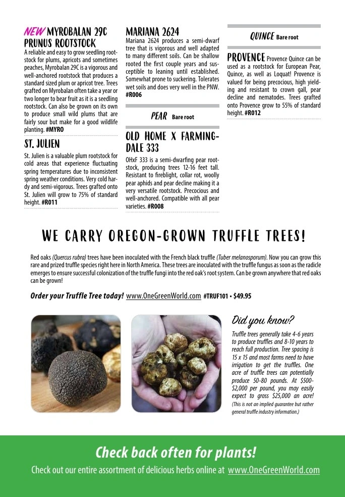 One Green World flyer page 145