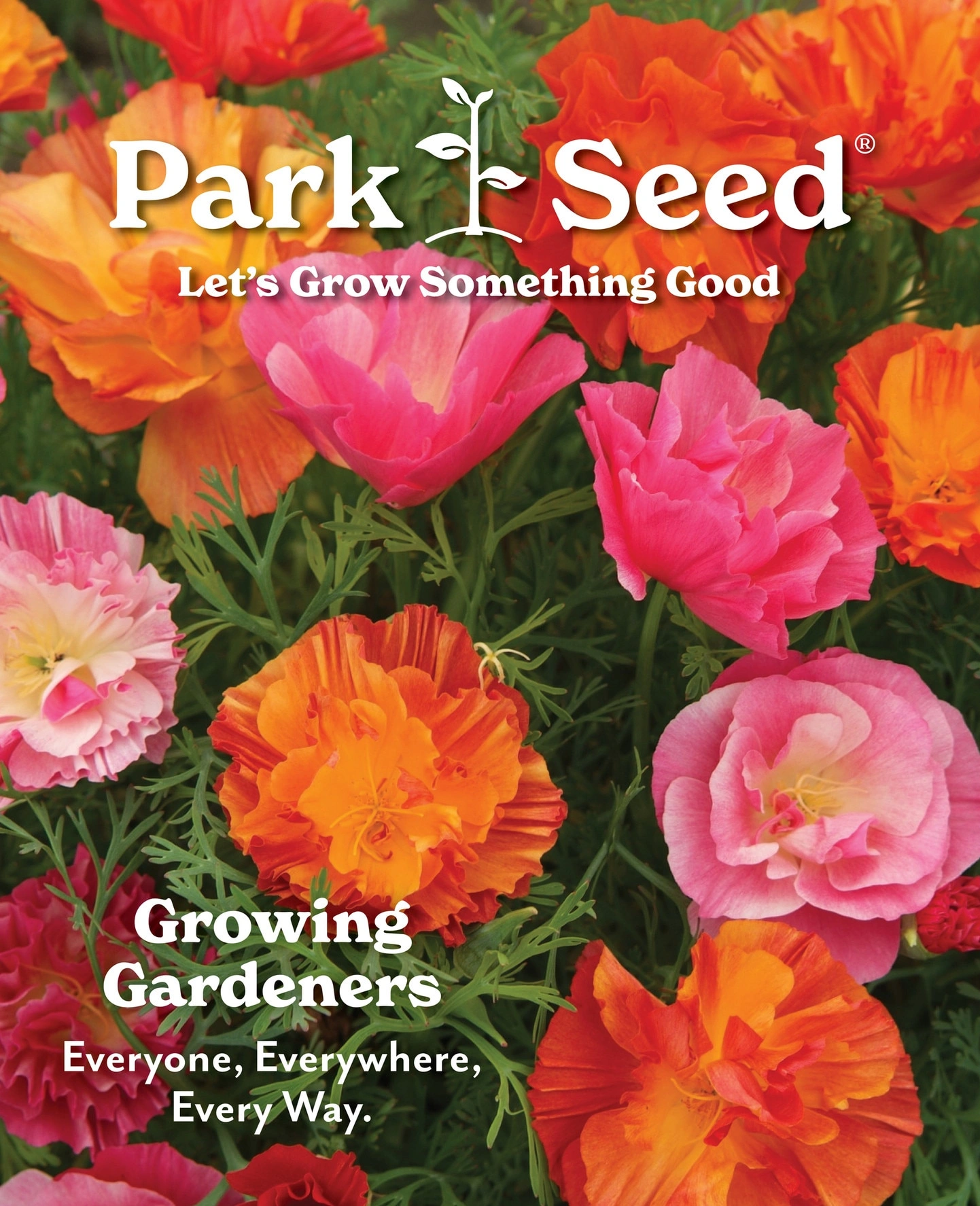 Park Seed flyer page 1