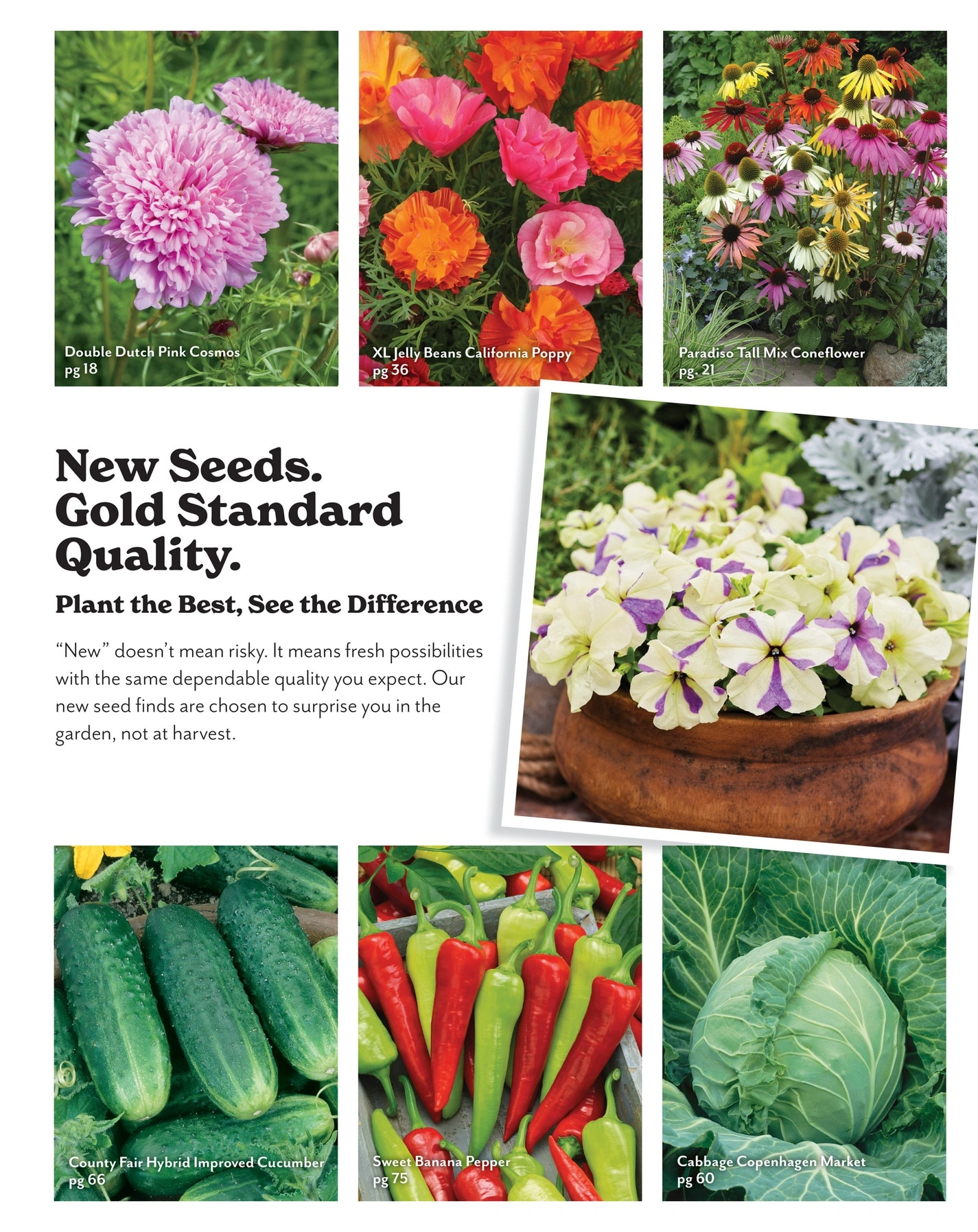 Park Seed flyer page 5