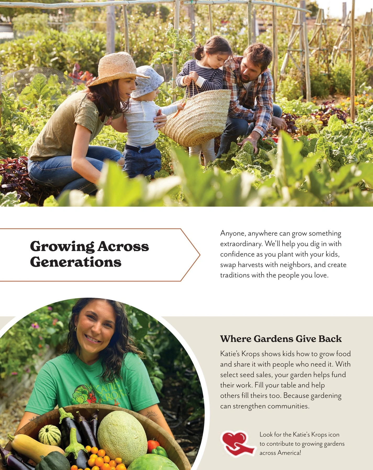Park Seed flyer page 6