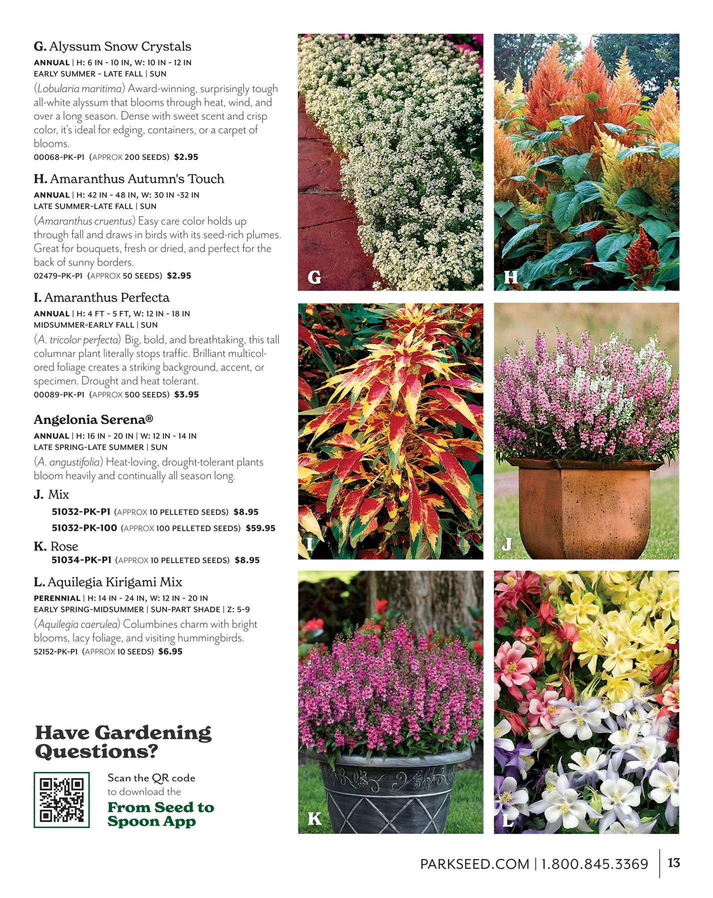 Park Seed flyer page 13