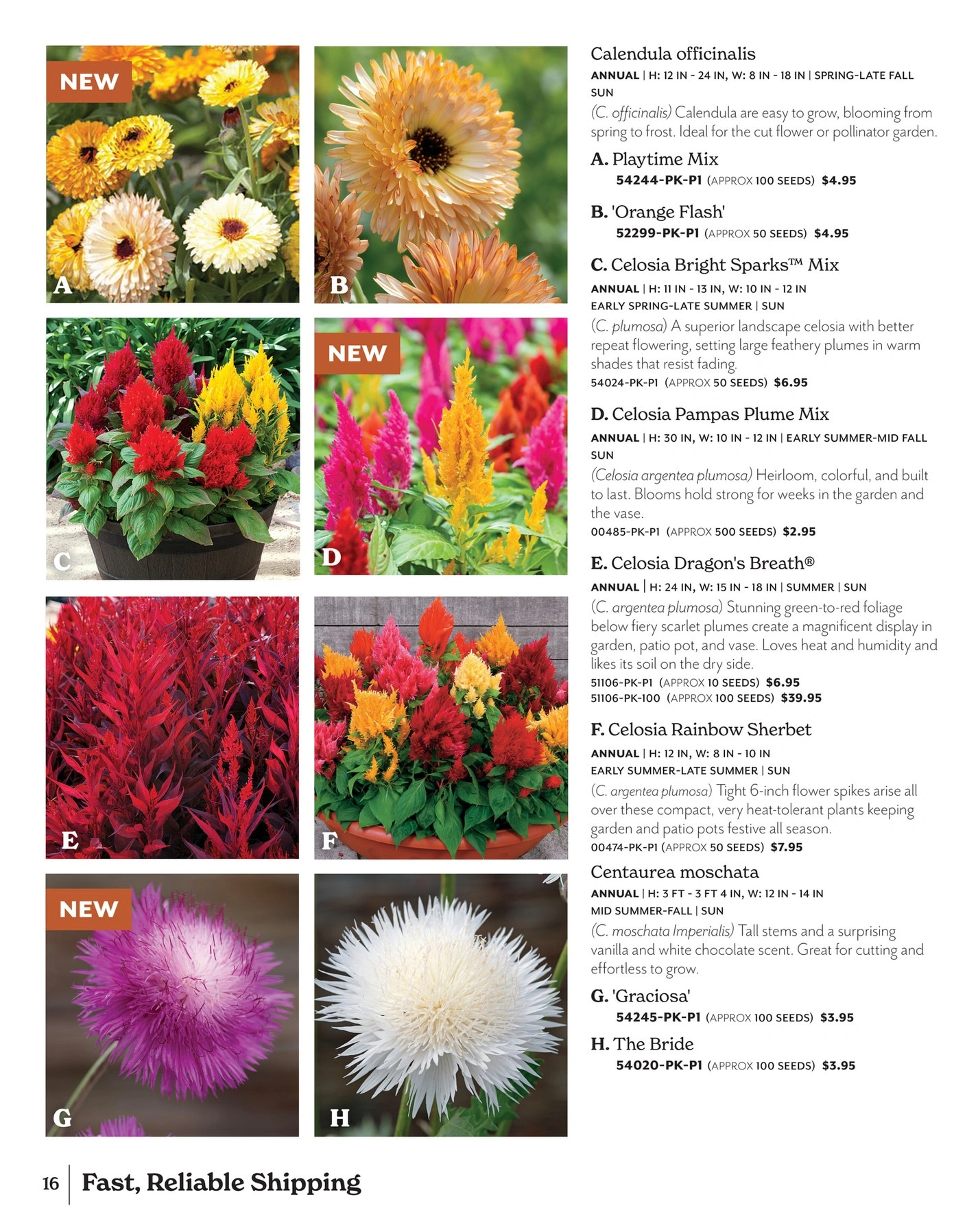 Park Seed flyer page 16