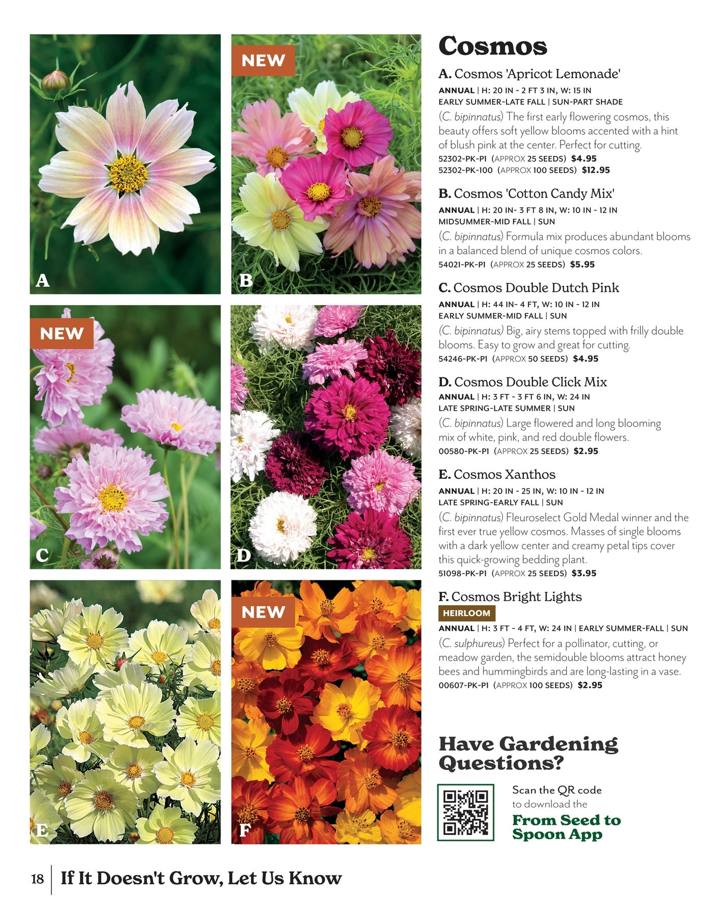 Park Seed flyer page 18